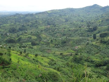View across the lush, cultivated fields of Kinkiizi diocese from diocesan prayer mountain, November, Uganda. (c) Victoria Byrne