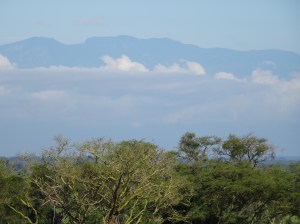 Looking across from the plains of the national park to Rwenzori mountains, SW Uganda